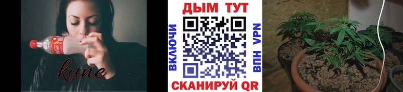 Магазины продажи наркотиков Усть-Кут блэк спрут рабочий сайт МЕФ APVP ГАШ Бошки Шишки