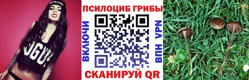Галлюциногенные грибы мицелий Усть-Кут
